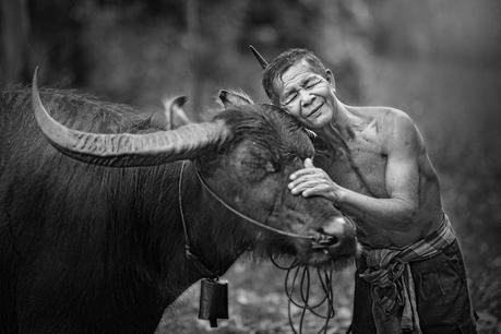 Tchénrèzi : la compassion-vacuité 13450853_1022864301083882_6564249066914649588_n