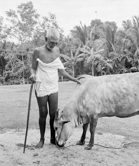 Tchénrèzi : la compassion-vacuité 13418904_363869240404085_5408698244008601663_n