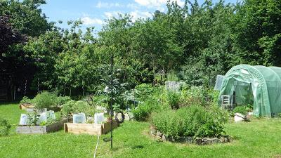 Rencontre avec Carine Mayo venue visiter notre jardin Rencontre avec Carine Mayo venue visiter notre jardin