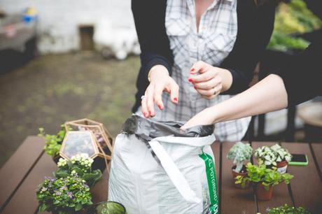 Un DIY au jardin – un terrarium à suspendre