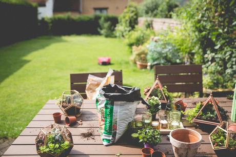 Un DIY au jardin – un terrarium à suspendre