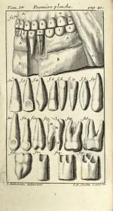 Pierre Fauchard, le créateur de l’art du dentiste. Fauchard_1786_pl1