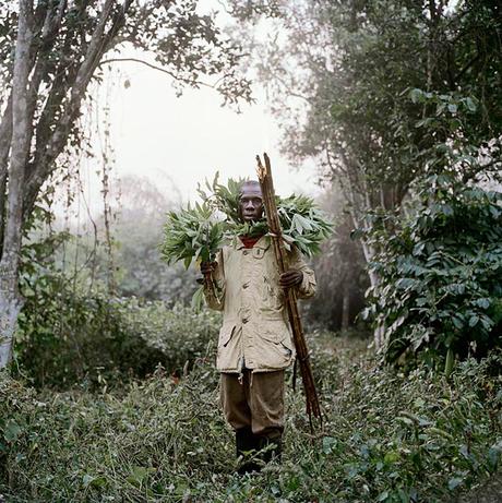 Ghana: The Honey collector by Pieter Hugo photographer