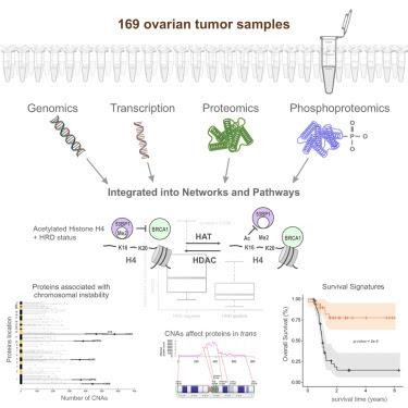 Colon most cancers weight reduction cancer du poumon chez l. A. Femme