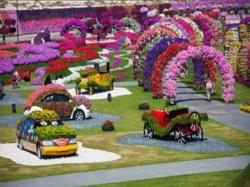 Jardin miracle Dubaï 03 Jardin miracle Dubaï 03