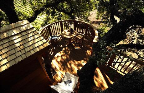 Wooden-Tree-House-in-Tuscany5-900x587