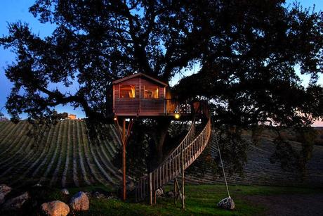 Wooden-Tree-House-in-Tuscany1-900x602