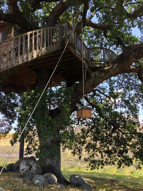 Wooden-Tree-House-in-Tuscany7-900x1200