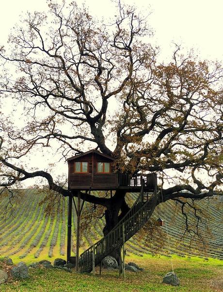 Wooden-Tree-House-in-Tuscany2-900x1177