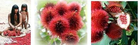 preparer sa peau a l’hiver Comment bien préparer sa peau pour l'hiver? (VIDÉOS)