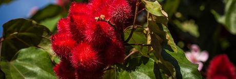 preparer sa peau a l’hiver Comment préparer sa peau pour l'hiver ?