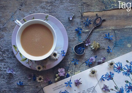 Tag #34 Bilan des 6 mois Tag #34 Bilan des 6 mois