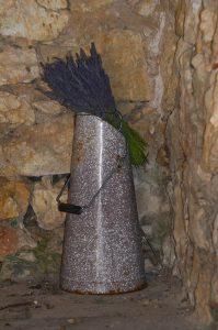 Ampus fleuri (fin) 13603724_1047199721994622_5023874911919389077_o