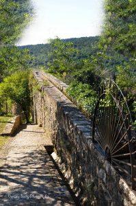 Ampus fleuri (fin) 13580477_1047199178661343_3103556023582021072_o