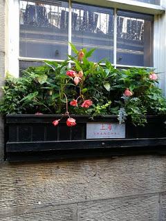 Retour sur la convention RARE 2016 à Edimbourg Retour sur la convention RARE 2016 à Edimbourg