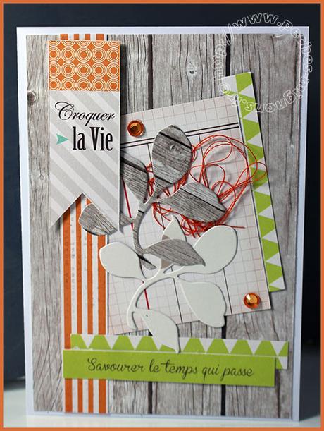 Carte Scrap #573 IMG_40331