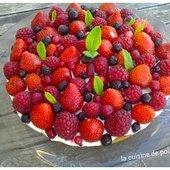 Mise à l'honneur 33 Gâteau aux fruits rouges au thermomix ou sans - La cuisine de poupoule
