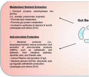 SCLÉROSE en PLAQUES: Et si on la gérait par le microbiote? – Journal of Interferon & Cytokine Research (JICR)