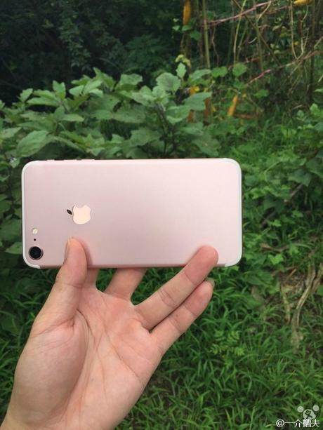 Serait-ce les futurs iPhone 7 et iPhone 7 Plus ? Serait-ce les futurs iPhone 7 et iPhone 7 Plus ?