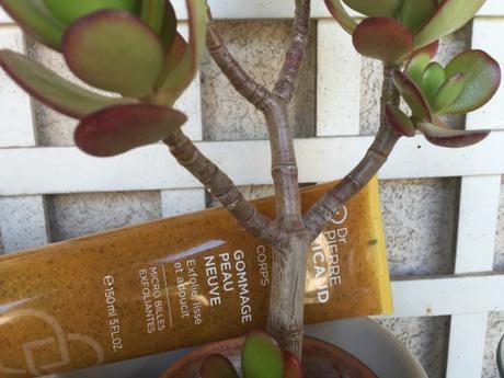 Mes produits de beauté de l’été Mes produits de beauté de l’été