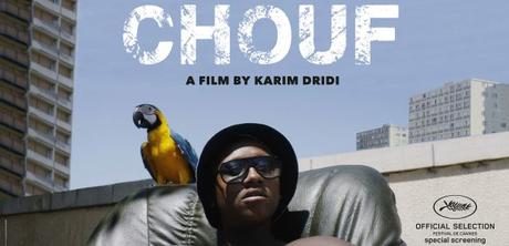 Critique Chouf