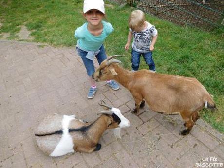 sorties en famille sorties en famille