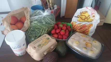 Semaine 28 – 2016 DSC_0051_1