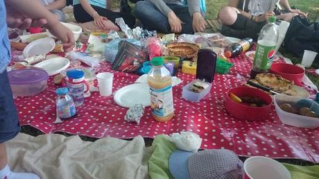 Semaine 28 – 2016 DSC_0019