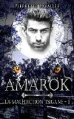 Top Ten Tuesday 19.07.16 : Les 10 romans, meilleurs coup de coeur des 2 dernières années Amarok le gitan