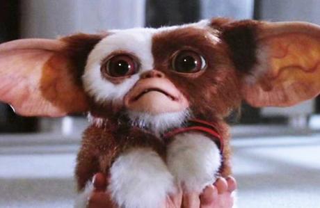 COMIC CON 2016 : Le maître des Gremlins débarque à Paris COMIC CON 2016 : Le maître des Gremlins débarque à Paris