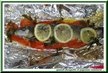 TRUITE EN PAPILLOTE truite en papillotte-4235