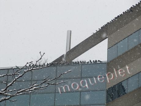 Canada - j'étais surveillée Canada - j'étais surveillée