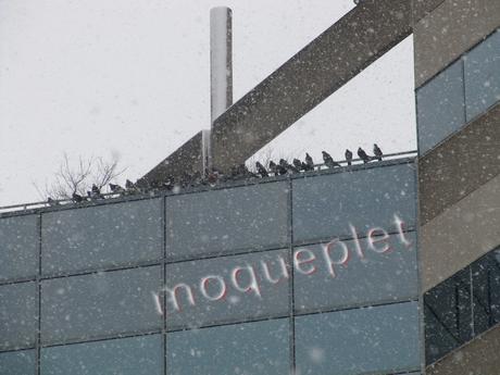 Canada - j'étais surveillée Canada - j'étais surveillée