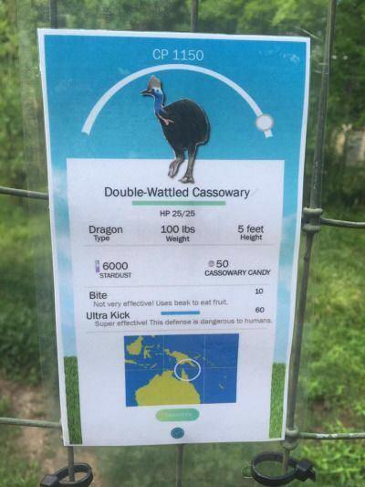 Ce zoo a eu l’idée de présenter ses différents animaux à la sauce POKÉMON GO ! Ce zoo a eu l’idée de présenter ses différents animaux à la sauce POKÉMON GO !