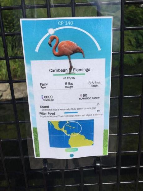Ce zoo a eu l’idée de présenter ses différents animaux à la sauce POKÉMON GO ! Ce zoo a eu l’idée de présenter ses différents animaux à la sauce POKÉMON GO !