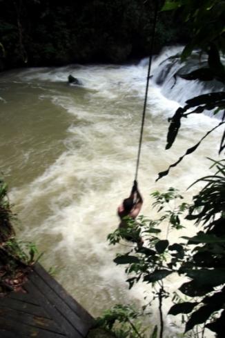 Que faire en Jamaique ? Se prendre pour Tarzan ? Que faire en Jamaique ? Se prendre pour Tarzan ?