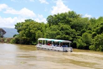 Que faire en Jamaique ? Un Black River Safari Que faire en Jamaique ? Un Black River Safari