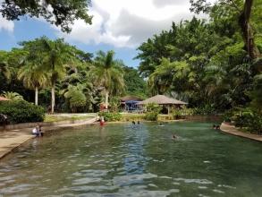 Que faire en Jamaique ? Piscine naturelle de YS Falls Que faire en Jamaique ? Piscine naturelle de YS Falls