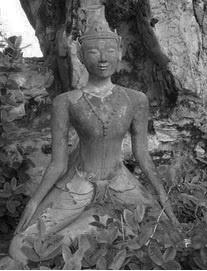 Cycle d’apprentissage de la «Mindfulness» Yoga & Méditation de Pleine conscience www.le-fil-du-yoga.com