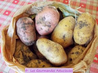 Pommes de terre et fèves en salade (Vegan)