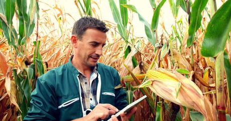L’agriculture se réinvente grâce aux biotechnologies et la data L’agriculture se réinvente grâce aux biotechnologies et la data