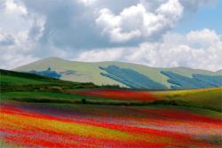 Castellucciodinorcia 9