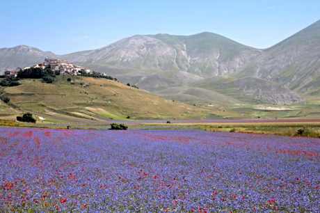 Castellucciodinorcia 6