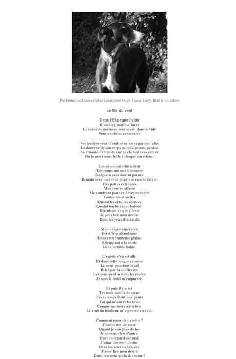 Poème pour le galgo de Françoise Louise Borsa-lebas