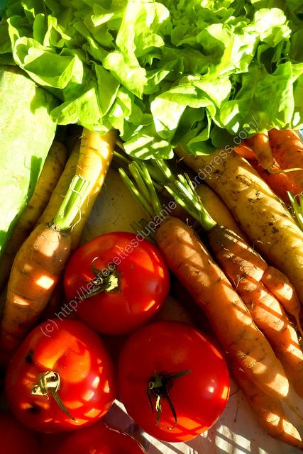 Fruits et légumes d’Août en Alsace / Fruits and Vegetables in August in Alsace Panier semaine 34 / Basket Week 34