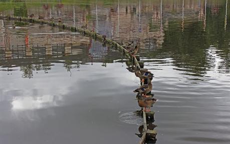 Bagnoles de l'Orne