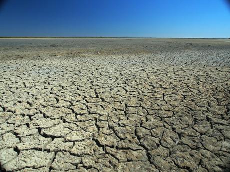 La Camargue au grand angle