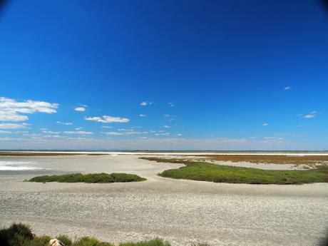 La Camargue au grand angle