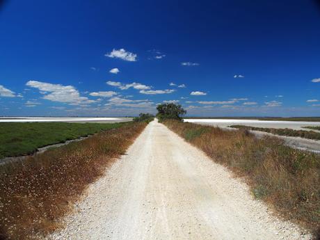 La Camargue au grand angle