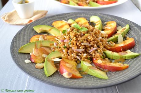 Salade gourmande au petit épeautre {avocat, brugnon & amandes torréfiées} Salade gourmande au petit épeautre {avocat, brugnon & amandes torréfiées}